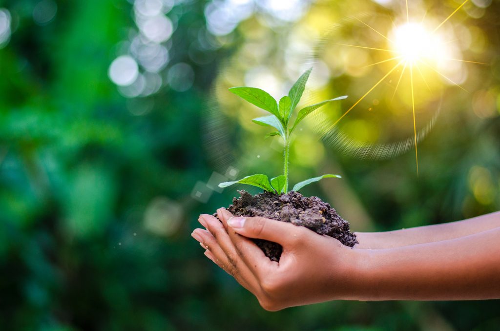 Sustainable Manufacturing Practices